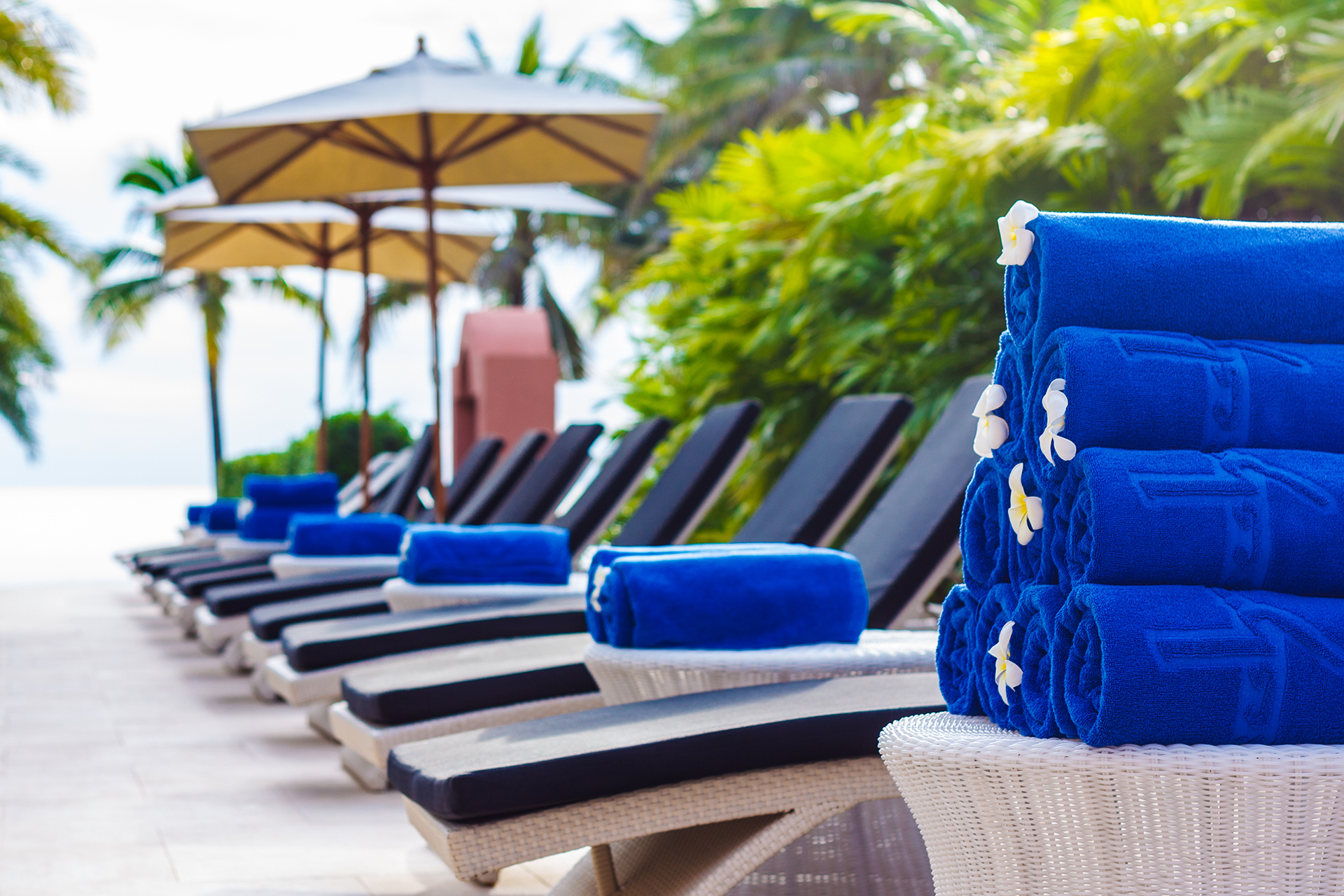 Hotel Laundry Service in Los Angeles Royal Quality Laundry